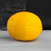 Altdeutsch bezbarwna 